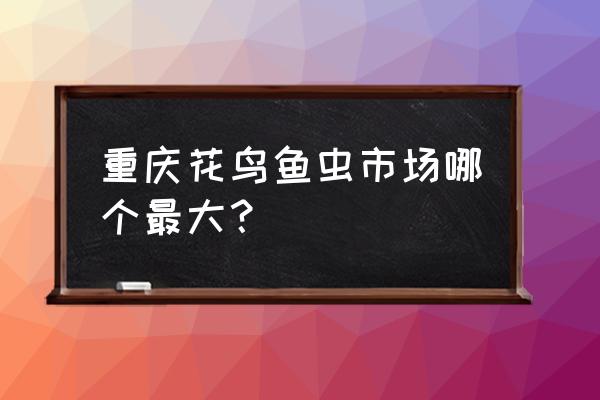 重庆鱼池假山市场哪儿 重庆花鸟鱼虫市场哪个最大？