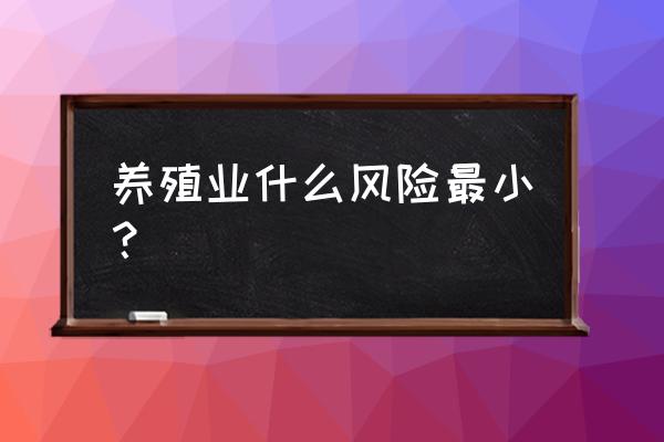 养殖什么风险小投资少 养殖业什么风险最小？