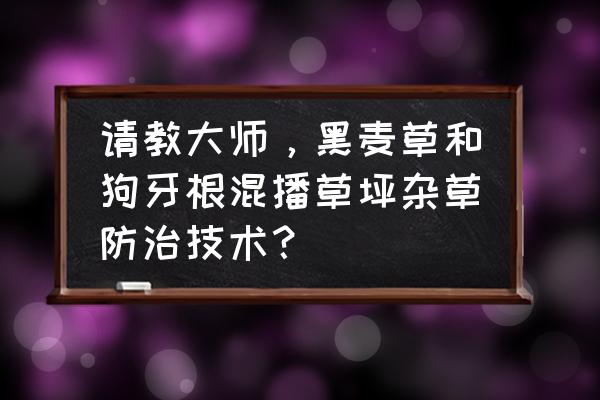 草坪狗牙根怎样除草剂 请教大师，黑麦草和狗牙根混播草坪杂草防治技术？