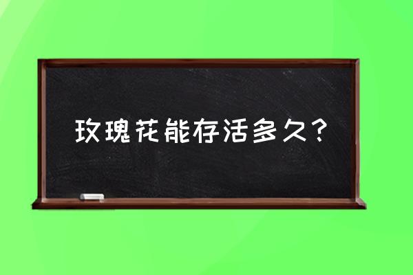 玫瑰花鲜花能养多久 玫瑰花能存活多久？