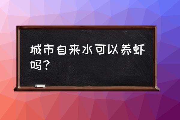 自来水可以直接养黑壳虾吗 城市自来水可以养虾吗？