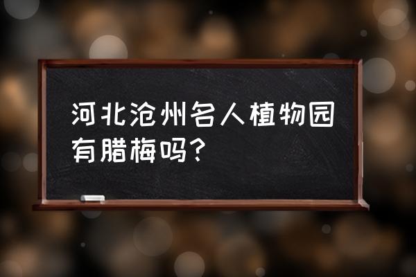 沧州名人植物园的花都啥时开吗 河北沧州名人植物园有腊梅吗？