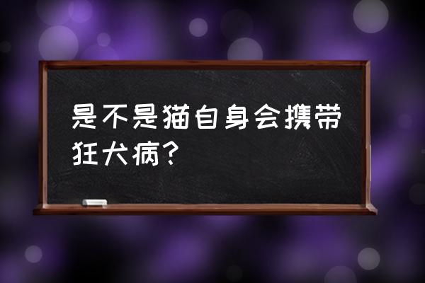 流浪猫狂犬病毒的几率 是不是猫自身会携带狂犬病？