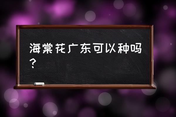 广东能种红宝石海棠吗 海棠花广东可以种吗？