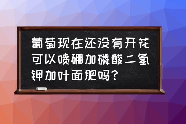 葡萄用叶面肥有什么好 葡萄现在还没有开花可以喷硼加磷酸二氢钾加叶面肥吗？