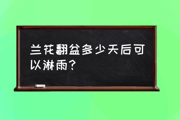 兰花翻盆后多久可淋雨 兰花翻盆多少天后可以淋雨？