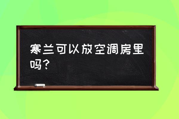 兰花吹空调能提前开花吗 寒兰可以放空调房里吗？