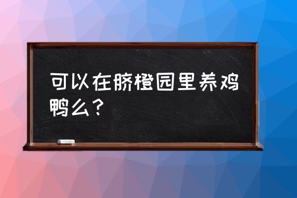 柑橘园橘苗散养鸡好不 可以在脐橙园里养鸡鸭么？