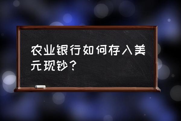 农行怎么转美元 农业银行如何存入美元现钞？