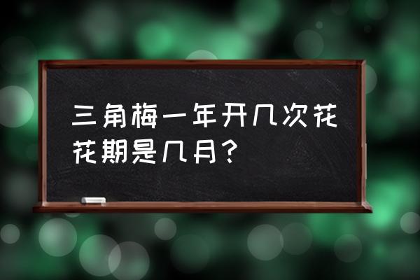 三角梅开花吗 三角梅一年开几次花花期是几月？