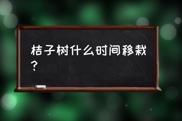 橘子树什么时间可以移栽盆栽 桔子树什么时间移栽？