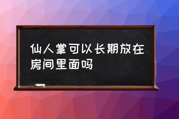 仙人掌用什么净化空气 仙人掌可以长期放在房间里面吗