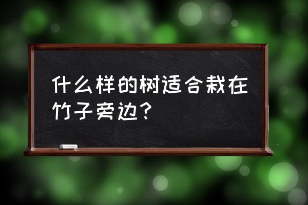 什么地被植物能跟竹子种一起 什么样的树适合栽在竹子旁边？