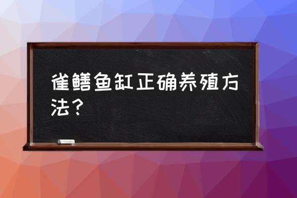 雀嘴鳝观赏鱼吃什么饲料 雀鳝鱼缸正确养殖方法？