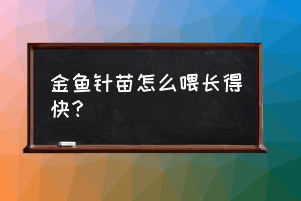 金鱼针苗应该喂高蛋白饲料吗 金鱼针苗怎么喂长得快？