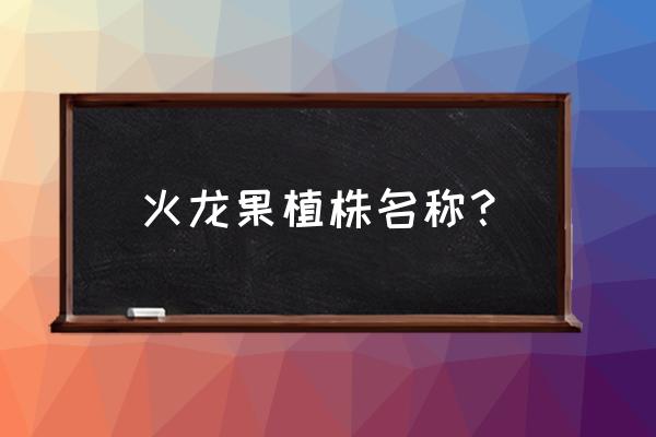 火龙果树怎么辨别真假 火龙果植株名称？