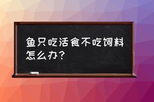 双线侧鱼不吃饲料怎么办 鱼只吃活食不吃饲料怎么办？