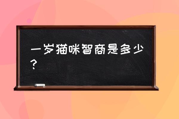 一岁猫相当于几岁智商 一岁猫咪智商是多少？