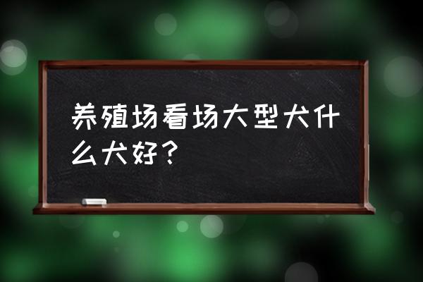 养牛场适合养什么狗 养殖场看场大型犬什么犬好？