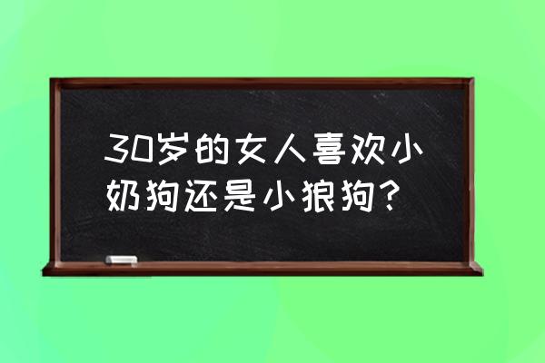 你是喜欢小狼狗还是小奶狗呢 30岁的女人喜欢小奶狗还是小狼狗？