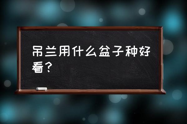 金边吊兰配什么花盆 吊兰用什么盆子种好看？