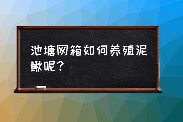 一个养殖箱可以养多少条泥鳅 池塘网箱如何养殖泥鳅呢？