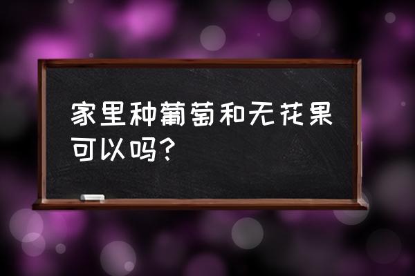 风水家中可以载无花果果树吗 家里种葡萄和无花果可以吗？