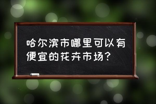 哈尔滨冬天哪里有牡丹花卖 哈尔滨市哪里可以有便宜的花卉市场？