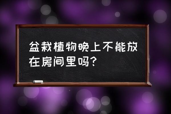 晚上室内可以放植物吗 盆栽植物晚上不能放在房间里吗？