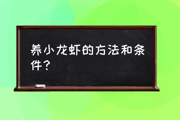 养殖小龙虾需要些什么条件呢 养小龙虾的方法和条件？