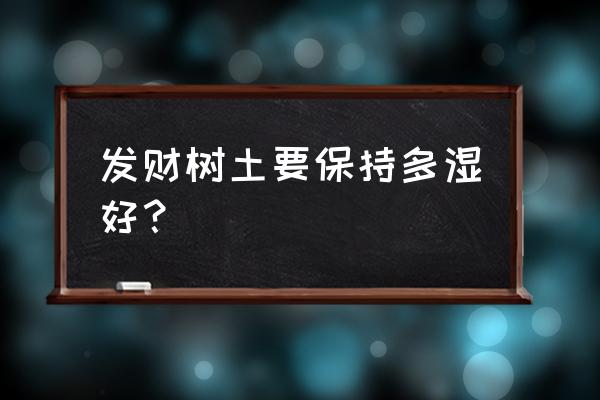 发财树喜什么土壤 发财树土要保持多湿好？