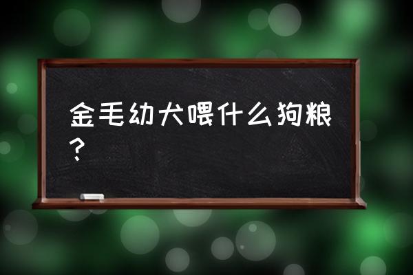 40天的金毛幼犬吃什么狗粮 金毛幼犬喂什么狗粮？