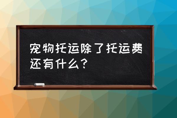 宠物单独托运需要买机票吗 宠物托运除了托运费还有什么？