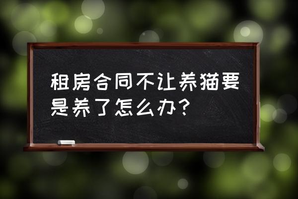 租房不能养宠物养了宠物怎么办 租房合同不让养猫要是养了怎么办？