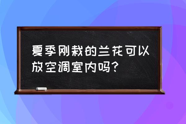 夏天兰花放空调房里好吗 夏季刚栽的兰花可以放空调室内吗？