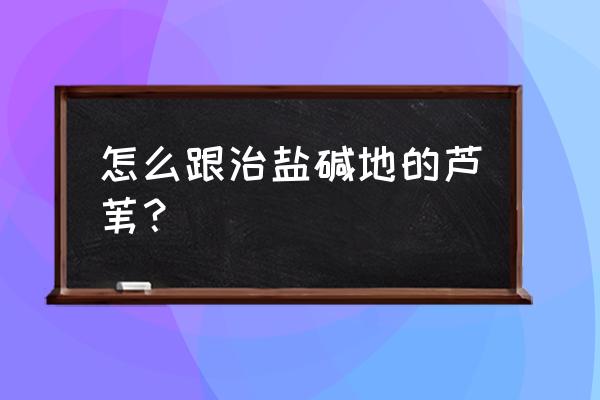 百草枯能杀芦苇吗 怎么跟治盐碱地的芦苇？