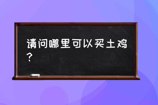 毕节养鸡在哪里买小鸡 请问哪里可以买土鸡？