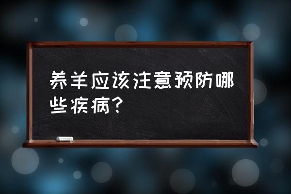 养羊户如何预防控制羊生病 养羊应该注意预防哪些疾病？