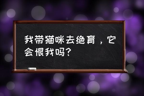 带猫绝育怎样才不恨我 我带猫咪去绝育，它会恨我吗？