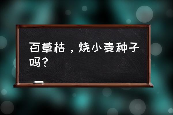 百草枯除草剂与播种有关系吗 百草枯，烧小麦种子吗？