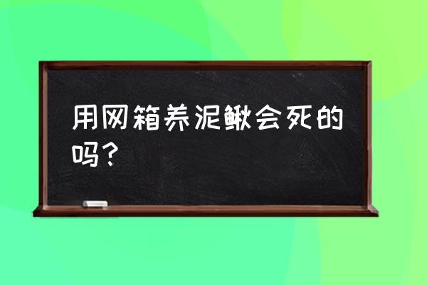 请问网箱能养殖泥鳅吗 用网箱养泥鳅会死的吗？