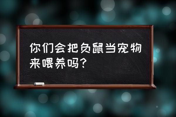 吃猫饲料负鼠代表什么意思 你们会把负鼠当宠物来喂养吗？