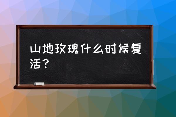 多肉植物山地玫瑰为何枯萎 山地玫瑰什么时候复活？