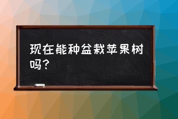 花盆能不能种苹果树 现在能种盆栽苹果树吗？