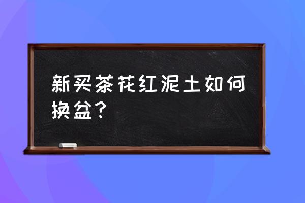 红土茶花需要换土吗 新买茶花红泥土如何换盆？