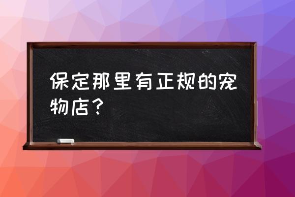 保定宠物领养中心在哪 保定那里有正规的宠物店？