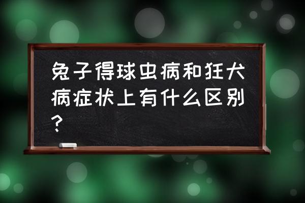 猪无名高热综合征由什么引起 兔子得球虫病和狂犬病症状上有什么区别？