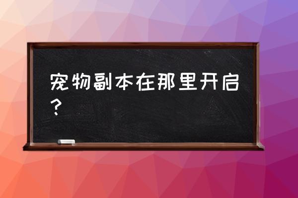 小人国冒险宠物系统在哪里 宠物副本在那里开启？