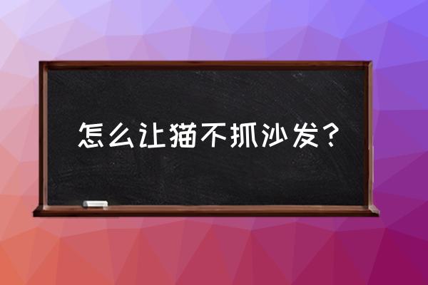 不想让猫咪上沙发的办法 怎么让猫不抓沙发？