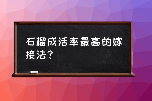 石榴树三月份嫁接最好的方法 石榴成活率最高的嫁接法？